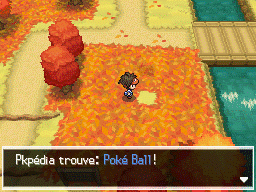Route 20 Poké Ball 1 N2B2.png