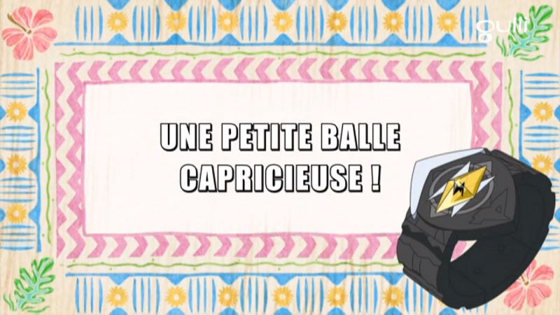 Fichier:Ecran titre SL110 FR.png