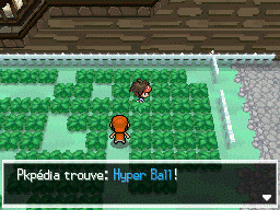 Fichier:Pont du Hameau Hyper Ball N2B2.png