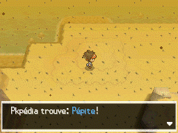 Fichier:Désert Délassant Pépite N2B2.png