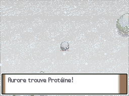 Route 217 Protéine Pt.png