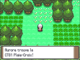 Route 221 CT81 Pt.png