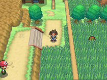 Fichier:Vokit Route 7.png