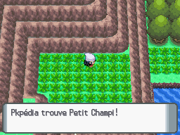 Fichier:Chenal 226 Petit Champi DP.png