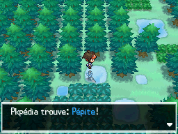 Fichier:Forêt d'Empoigne Pépite N2B2.png