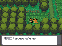 Forêt de Jade Huile Max HGSS.png