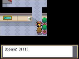 Fichier:Doublonville CT11 HGSS.png