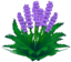 Fichier:Fleurs violettes XY.png