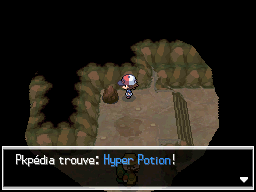Grotte Parsemille Hyper Potion 2 NB.png