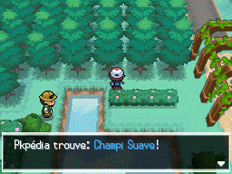 Objet Ogoesse Champi Suave NB.png