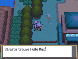 Fichier:Route 43 Huile Max HGSS.png