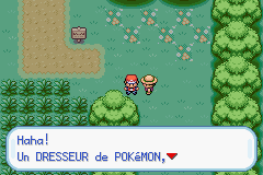 Cap écran Forêt de Jade Scout Alfred.png