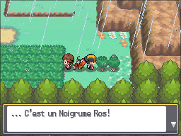 Fichier:Route 33 Noigrume Rose HGSS.png