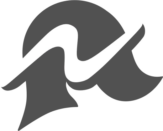 Fichier:Logo Néo Team Flare LPZA.png