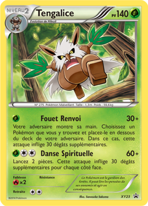 Carte Promo XY XY23.png