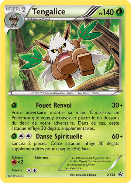 Fichier:Carte Promo XY XY23.png