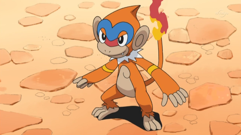 Fichier:Chimpenfeu de Sacha.png