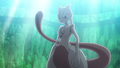 Mewtwo (sauvage)