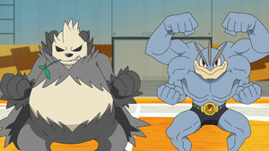 Pandarbare de Faïza.png