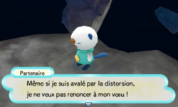 Malgré les apparences, le partenaire refuse de renoncer.