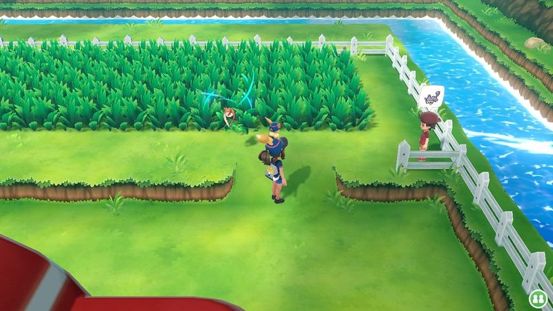 Fichier:Expert Rattata.jpg