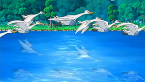 NB001 - Lakmécycgne.png