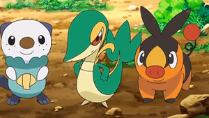 NB017 - Gruikui de Sacha.png