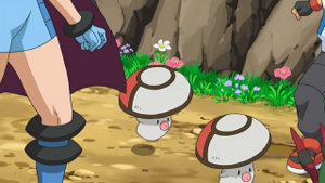 NB136 - Trompignon.png