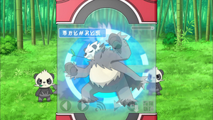 XY011 - Pandarbare Pokédex.png