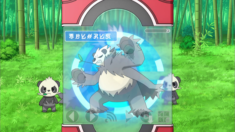 Fichier:XY011 - Pandarbare Pokédex.png