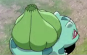 PG01 - Bulbizarre.png