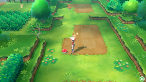 Route 2 Super Potion LGPE.png