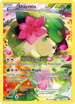 Carte Promo XY XY115.png