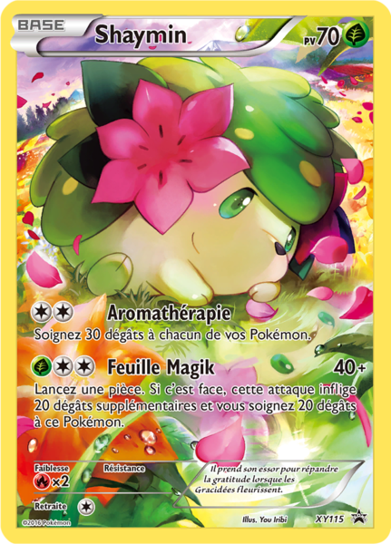 Fichier:Carte Promo XY XY115.png