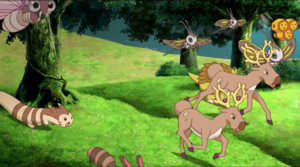 Fouinar et Aéromite sauvages - Film 12.png