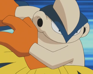 Hariyama Corps Perdu.png