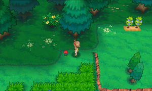 Route 116 Potion ROSA.png