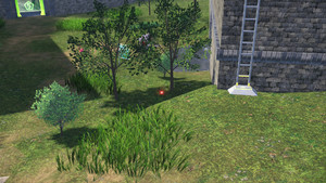 Zone sauvage n° 5 Rameau de Vie LPZA.png