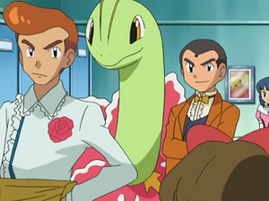 DP146 - Méganium d'un Dresseur.png