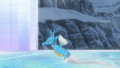 Hyporoi