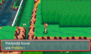 Parc Safari Protéine ROSA.png