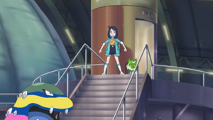 LH026 - Grotadmorv d'Alola.png