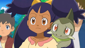 NB126 - Coupenotte d'Iris.png