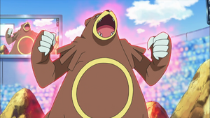 Ursaring Gonflette.png