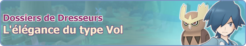 Fichier:Bannière L'élégance du Type Vol PM.png