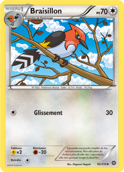 Braisillon (XY Offensive Vapeur 95)