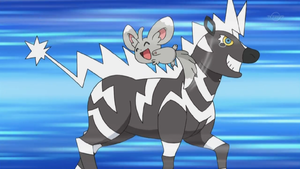 Chinchidou Chatouille.png