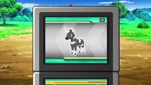 NB028 - Zébibron Pokédex.png