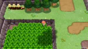Route 207 Poké Ball DEPS 2.png