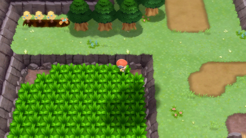 Fichier:Route 207 Poké Ball DEPS 2.png